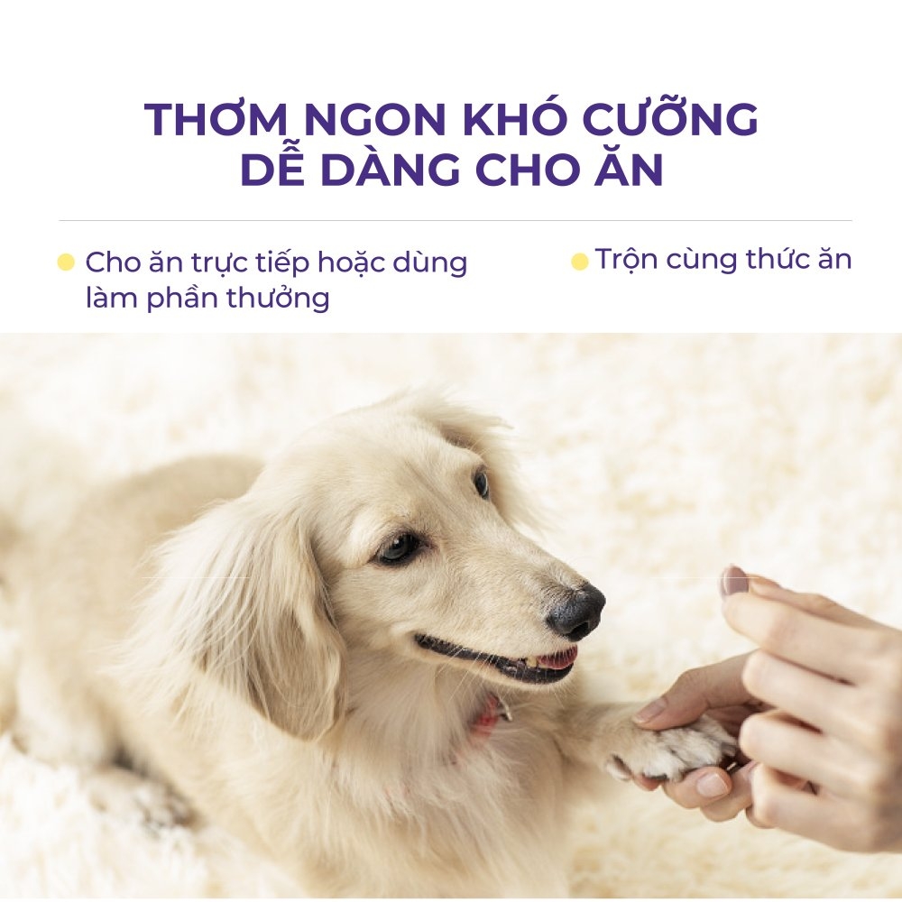 Viên bổ sung canxi cho chó mèo DR.VET (200 viên)