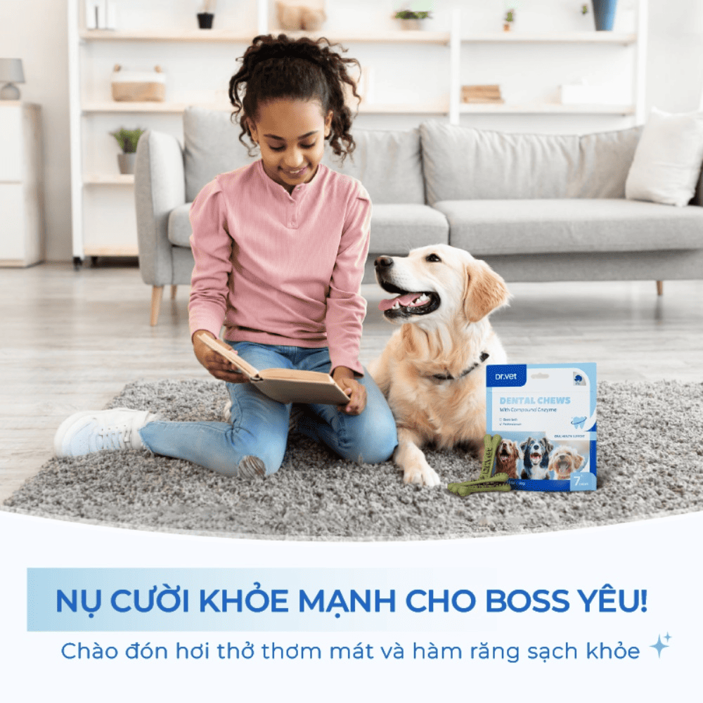 Xương Gặm Cho Chó Dr.Vet Dental Chew - Hỗ Trợ Sạch Răng, Giảm Hôi Miệng