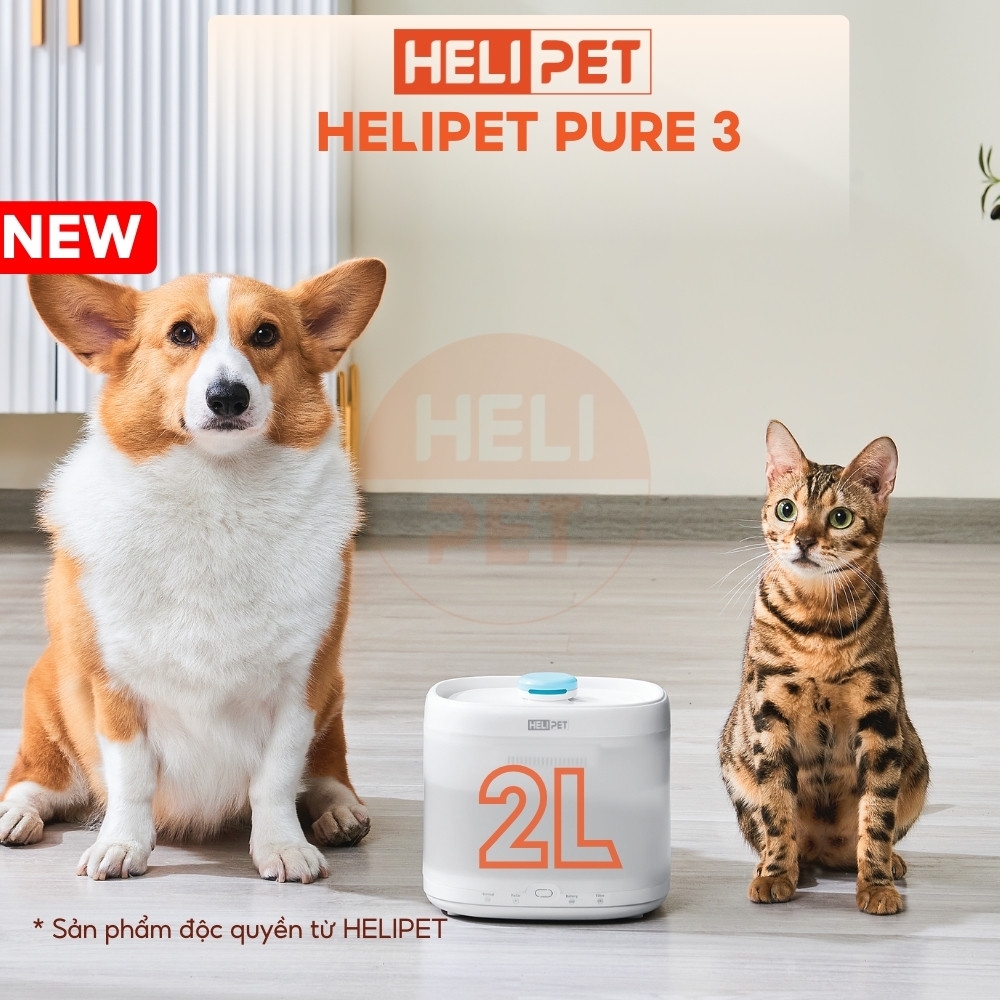 Máy lọc nước HELIPET PURE 3 (P3) - Bơm không dây