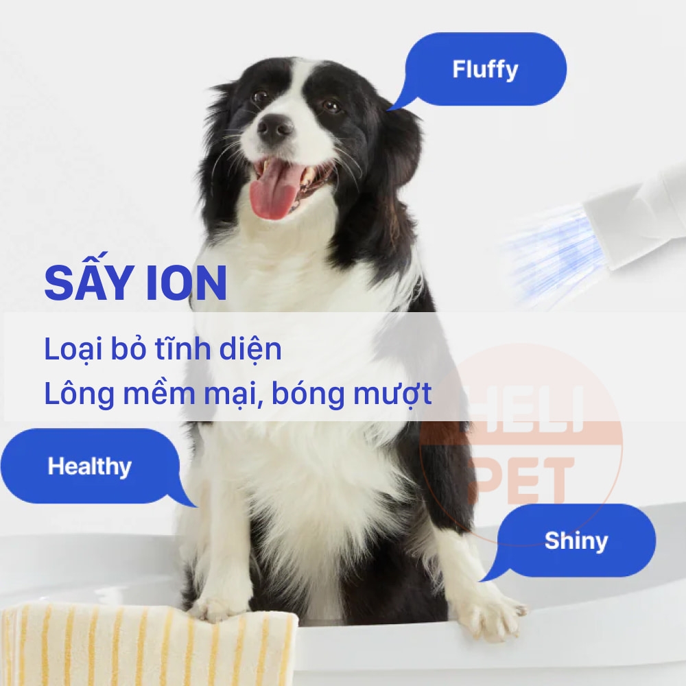 Máy sấy lông chó mèo Neakasa F1