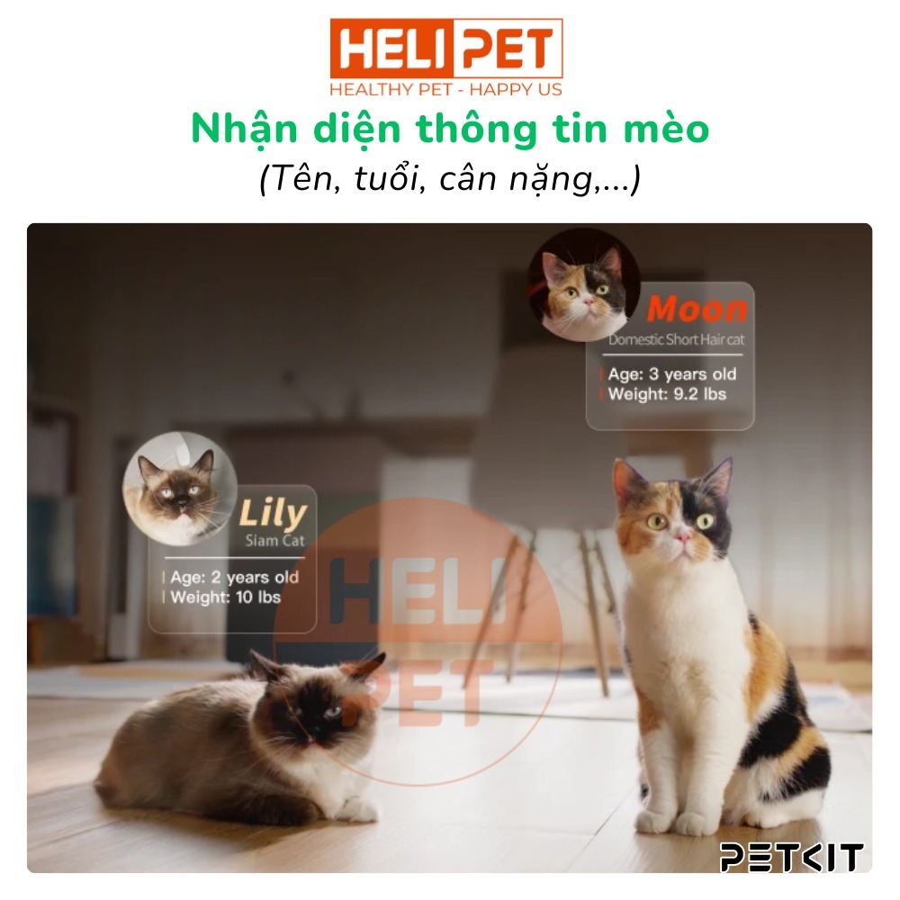 Máy dọn vệ sinh mèo Petkit Purobot Max Pro