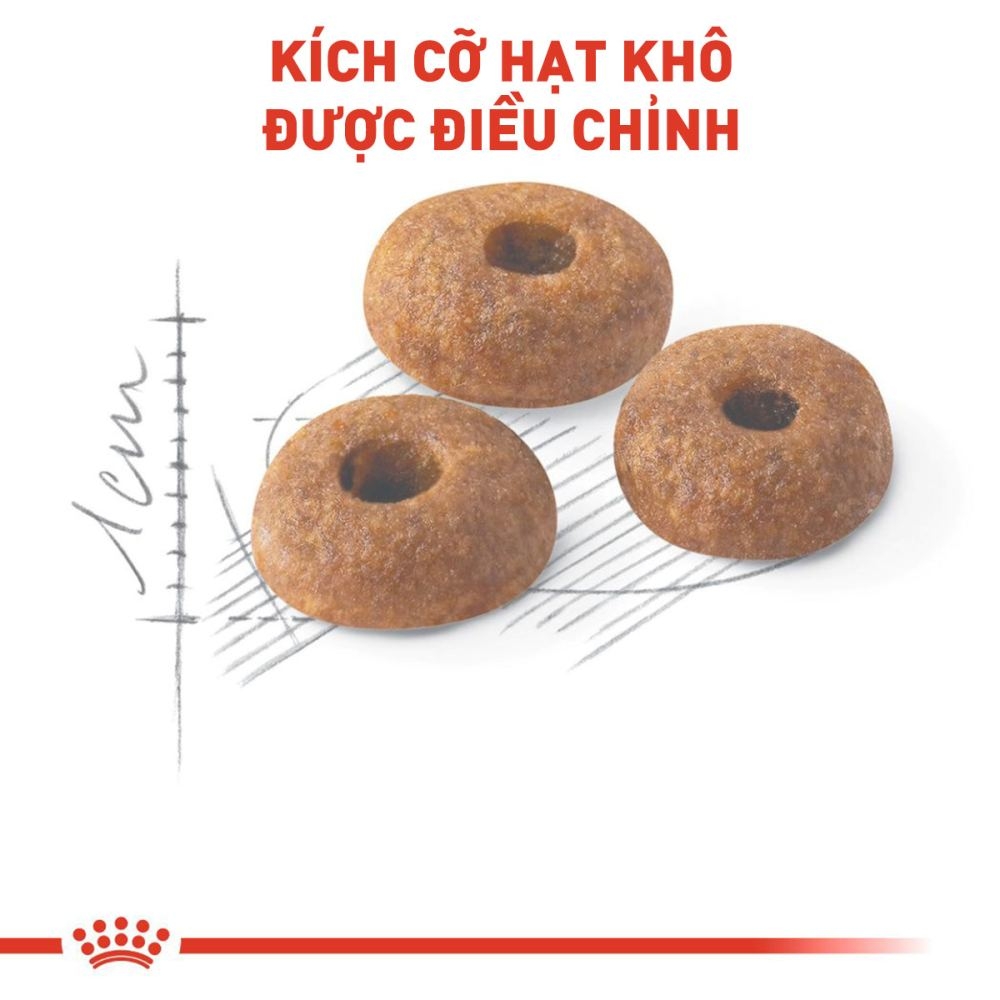 Thức Ăn Hạt Cho Mèo Trưởng Thành Royal Canin Fit 32