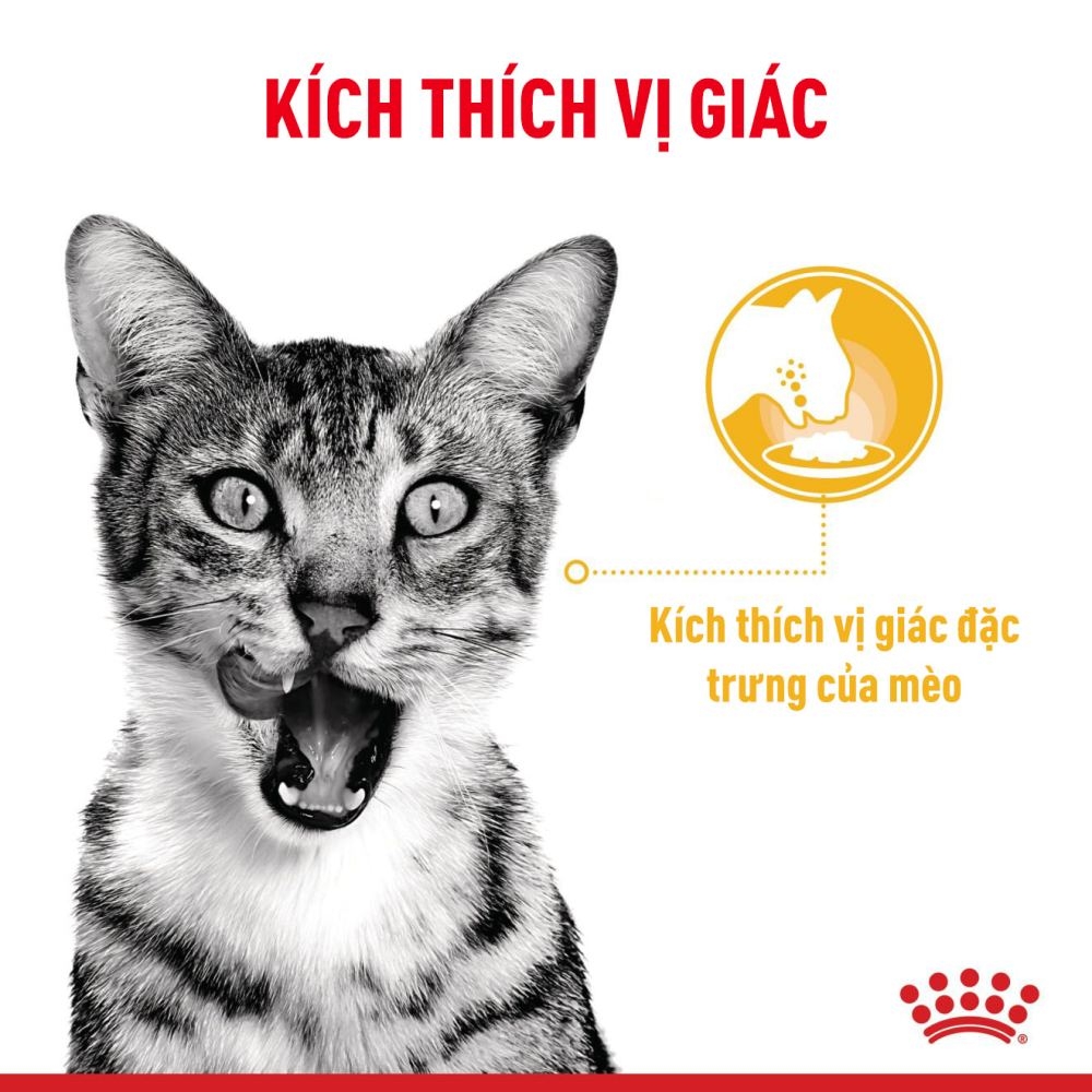 Pate Cho Mèo Kích Thích Giác Quan Royal Canin Sensory