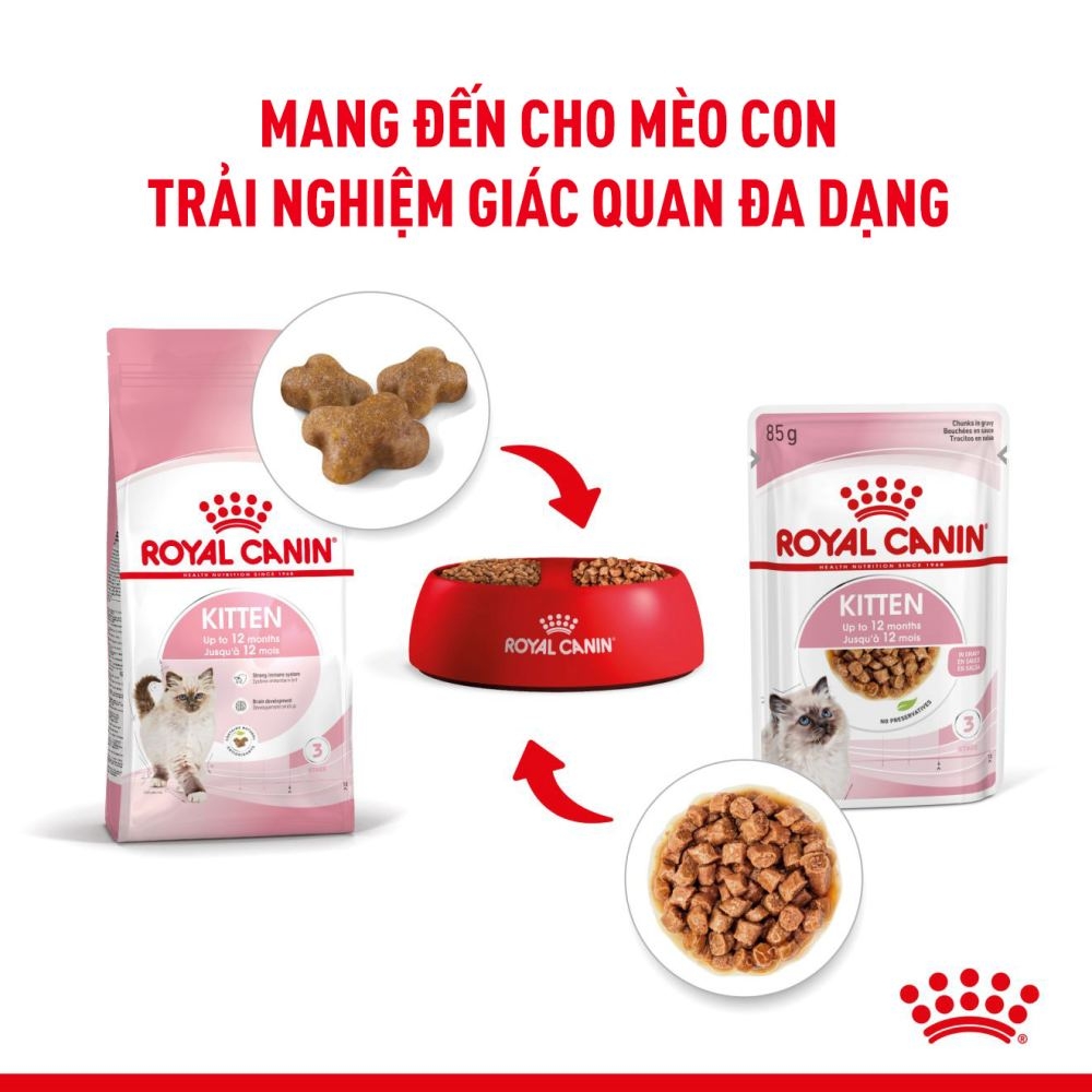 Pate Cho Mèo Con Royal Canin Kitten Instinctive