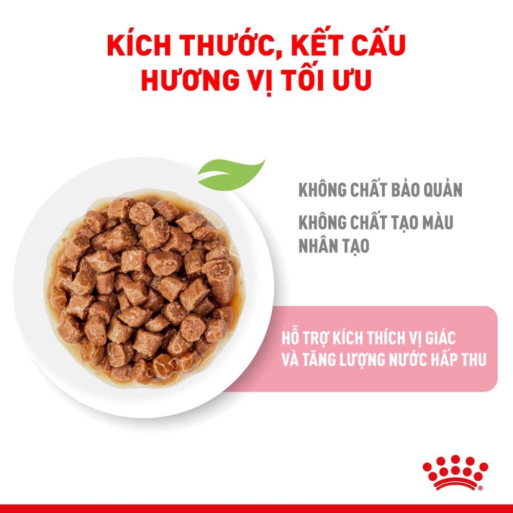 Pate Cho Mèo Con Royal Canin Kitten Instinctive