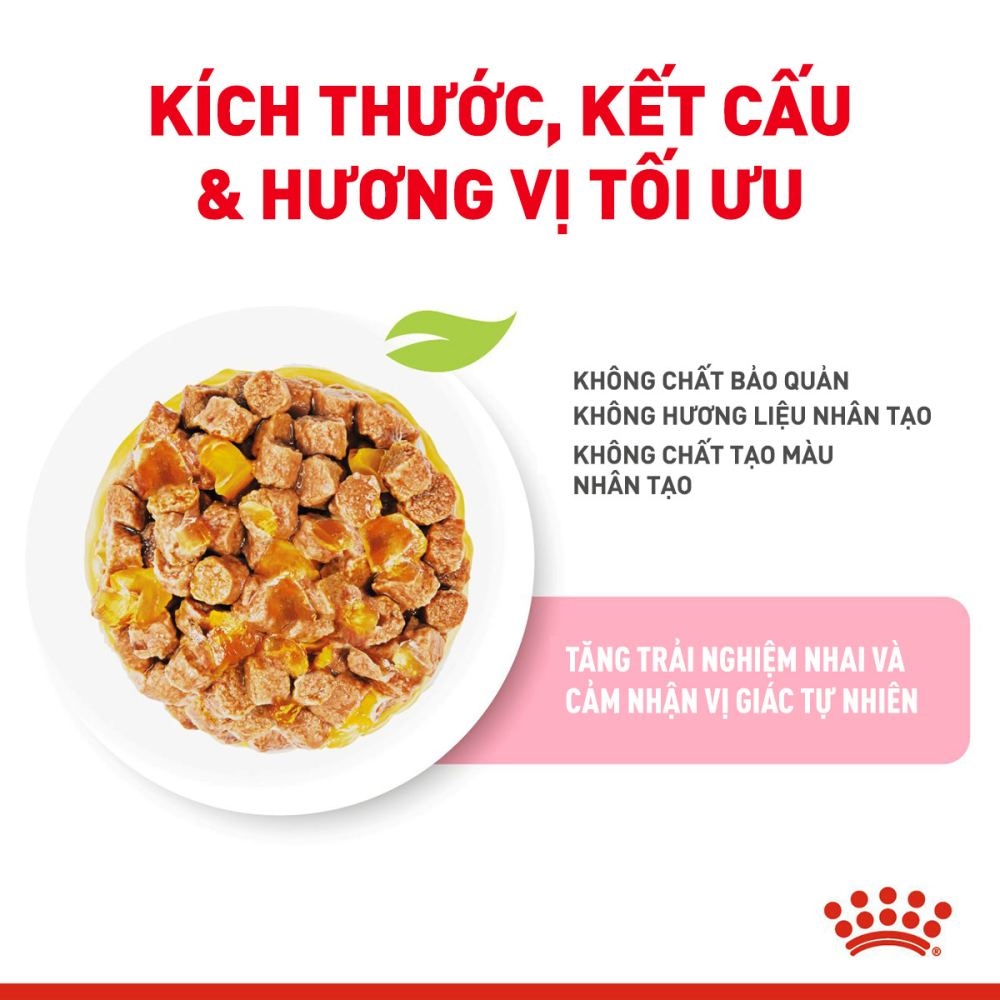 Pate Cho Mèo Con Royal Canin Kitten Instinctive