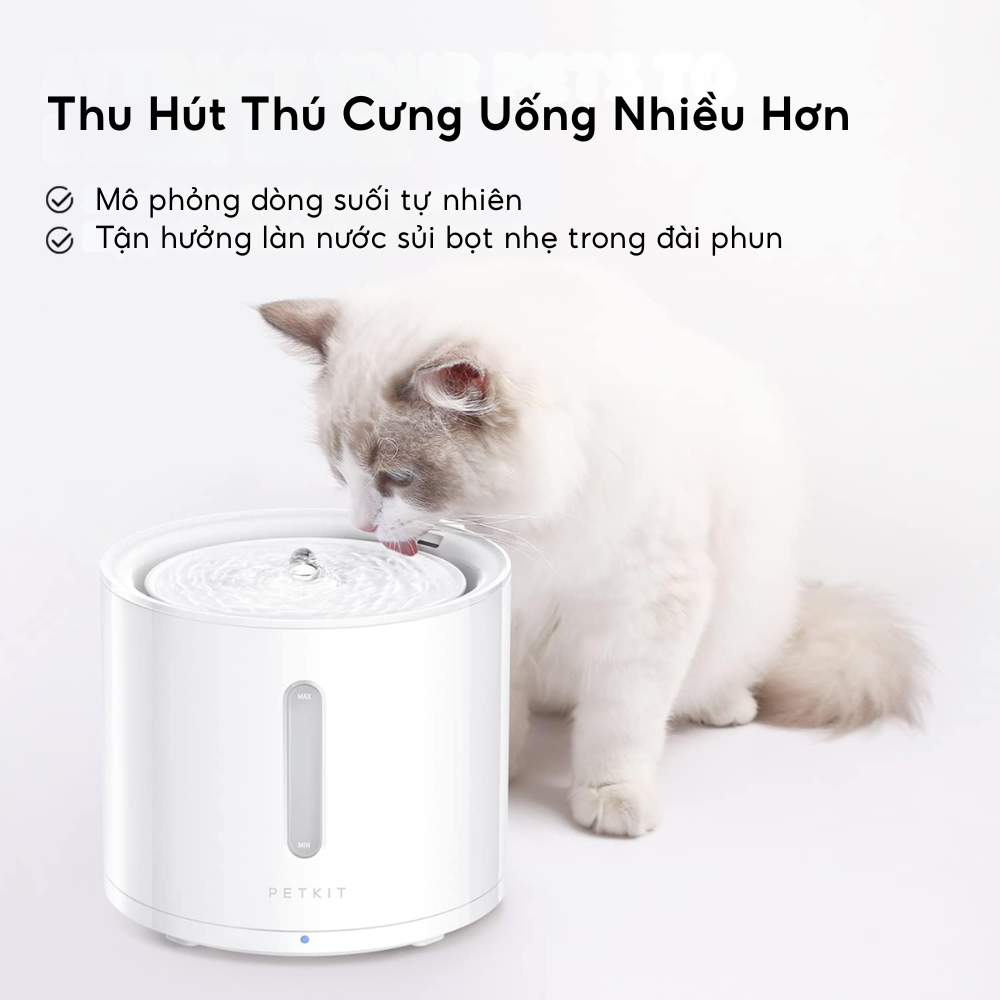 Máy lọc nước PETKIT Eversweet SOLO 2 - Bơm không dây