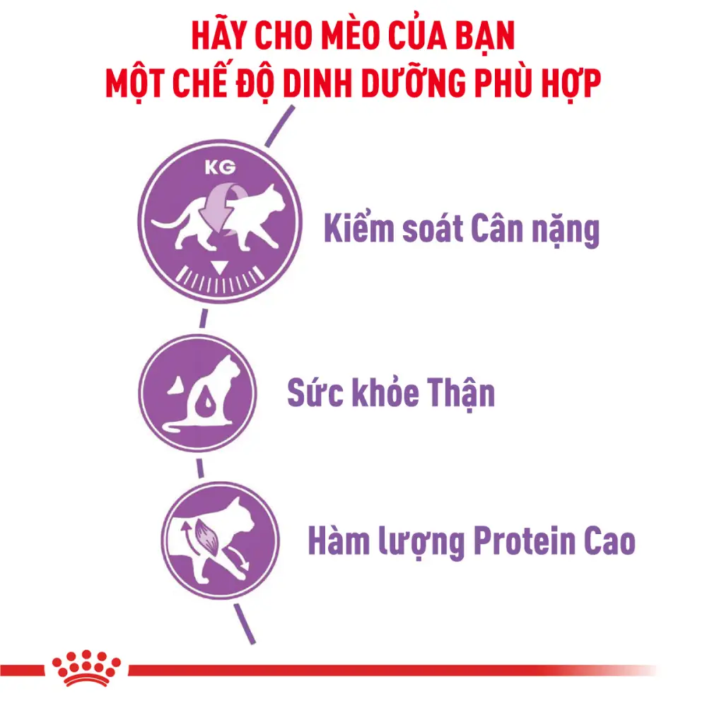 Hạt Cho Mèo Triệt Sản Trưởng Thành Royal Canin Sterilised 37