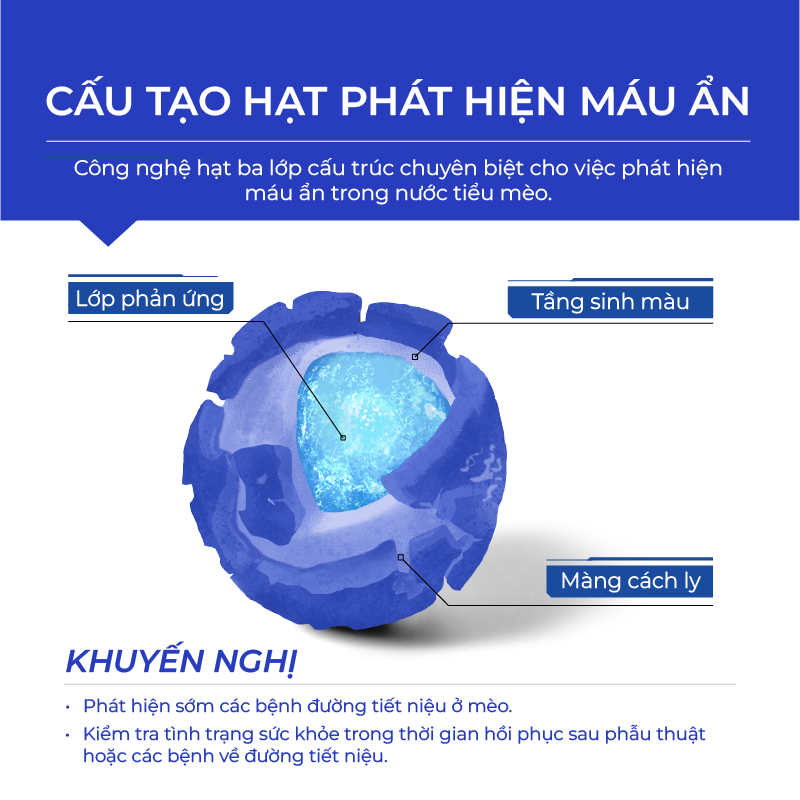 Hạt test máu trong nước tiểu mèo DR.VET