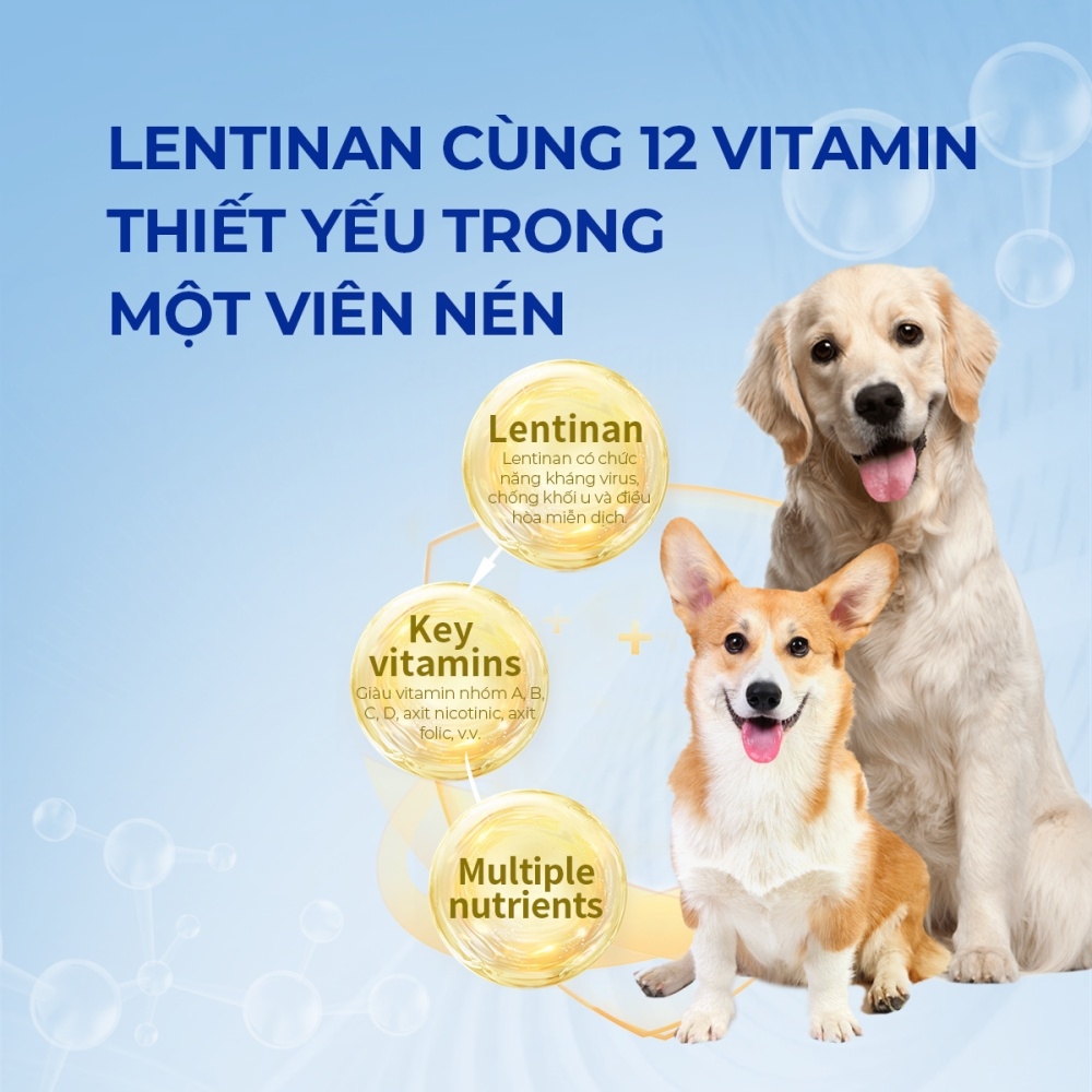 Vitamin tổng hợp cho chó DR.VET chứa Lentinan (200 viên)