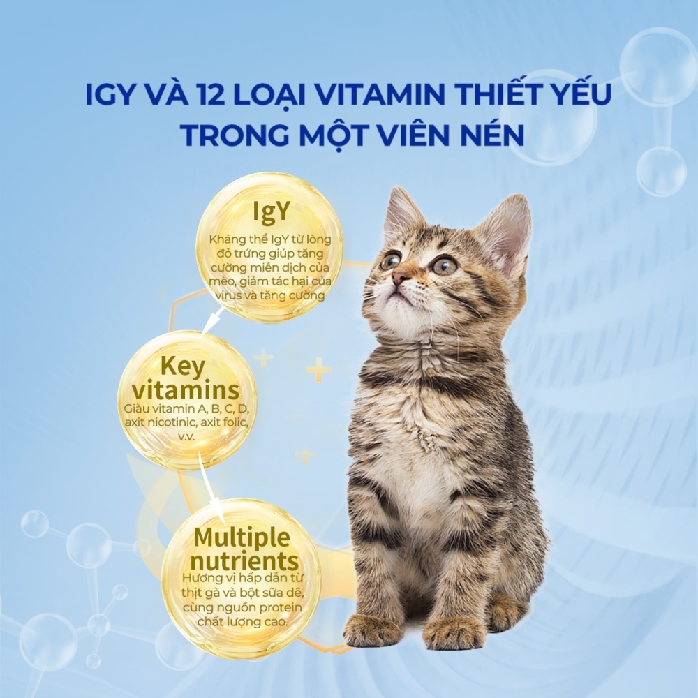 Vitamin tổng hợp cho mèo DR.VET có kháng thể IGY (200 viên)
