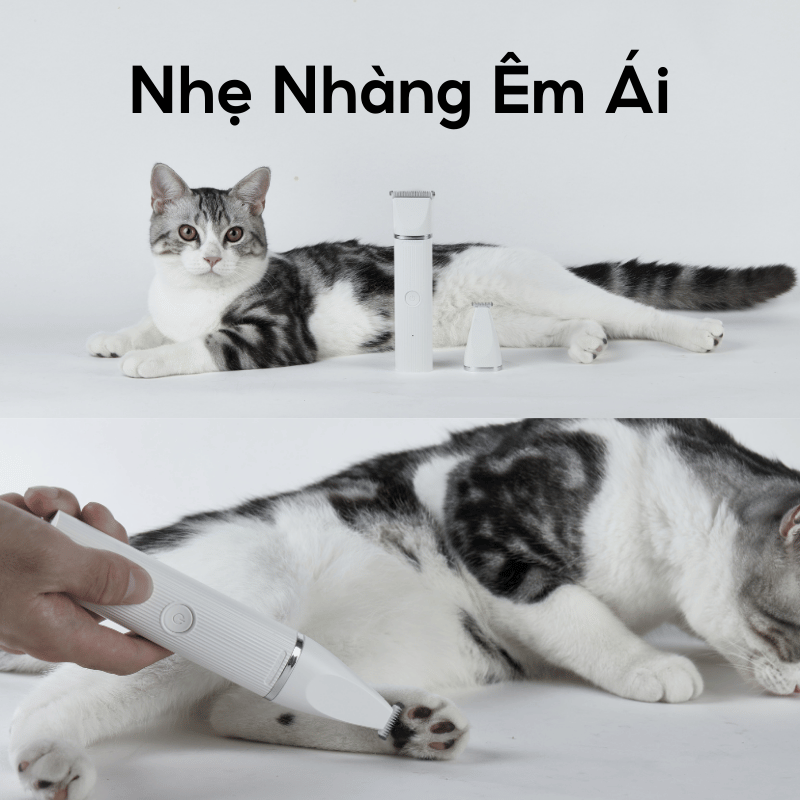 Tông đơ cắt lông chó mèo PETKIT 2in1 PRO