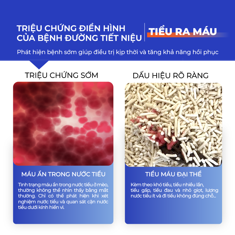 Hạt test máu trong nước tiểu mèo DR.VET