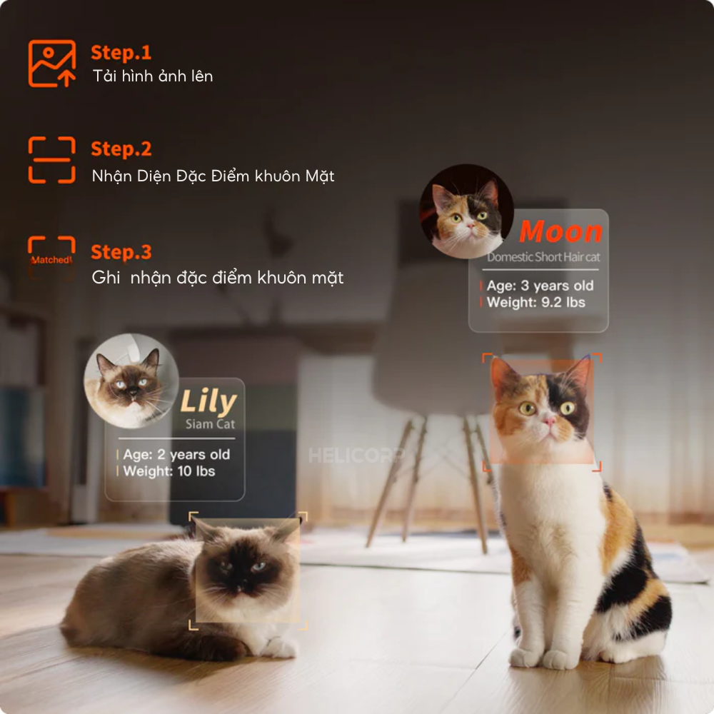 Máy dọn vệ sinh mèo Petkit Purobot Ultra có Camera AI