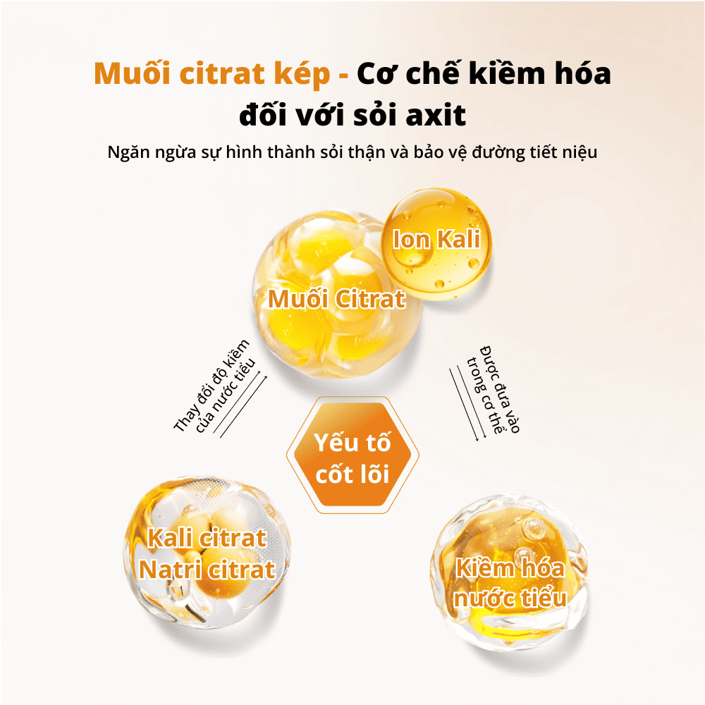 Viên kiềm hóa tiết niệu cho chó mèo Dr.Vet