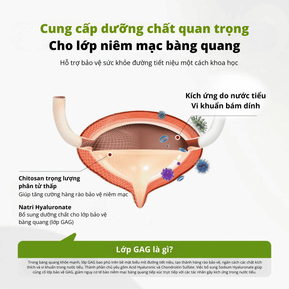 Viên hỗ trợ sức khỏe tiết niệu cho chó mèo Dr.Vet