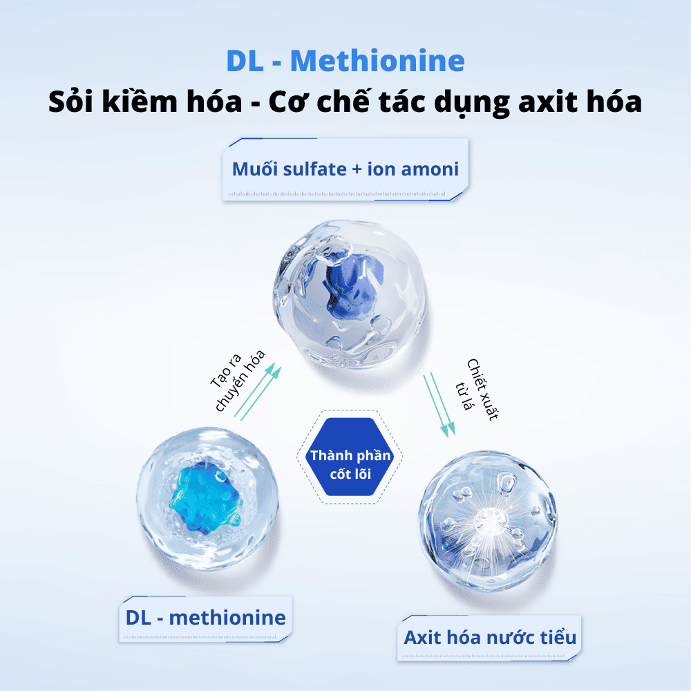 Viên tiết niệu cân bằng pH cho chó mèo Dr.Vet