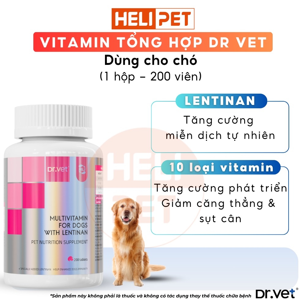 Vitamin tổng hợp cho chó DR.VET chứa Lentinan (200 viên)