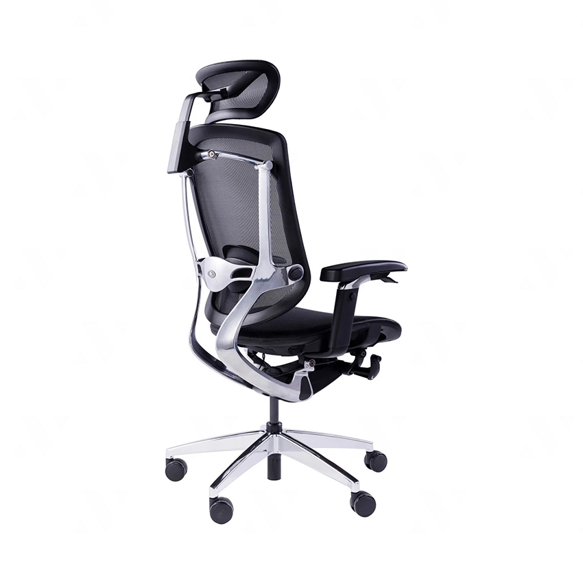 Ghế Công Thái Học Dvary Marrit X / Lưới - Đen / Tay 5D 2022