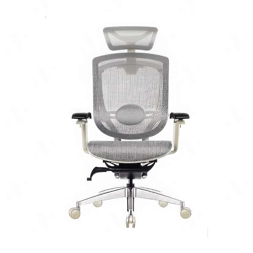 Ghế Công Thái Học Dvary Marrit X / Lưới - Đen / Tay 5D 2022