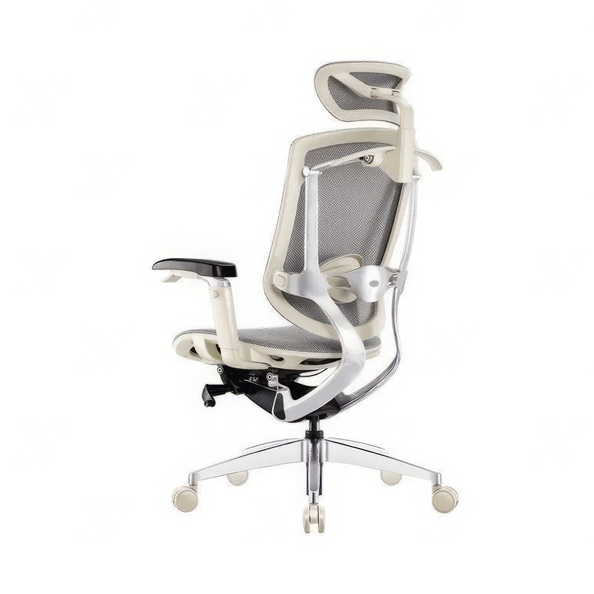 Ghế Công Thái Học Dvary Marrit X / Lưới - Đen / Tay 5D 2022