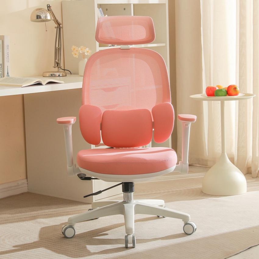 Ghế Công Thái Học Manson E3 Lite – Phiên Bản Đệm