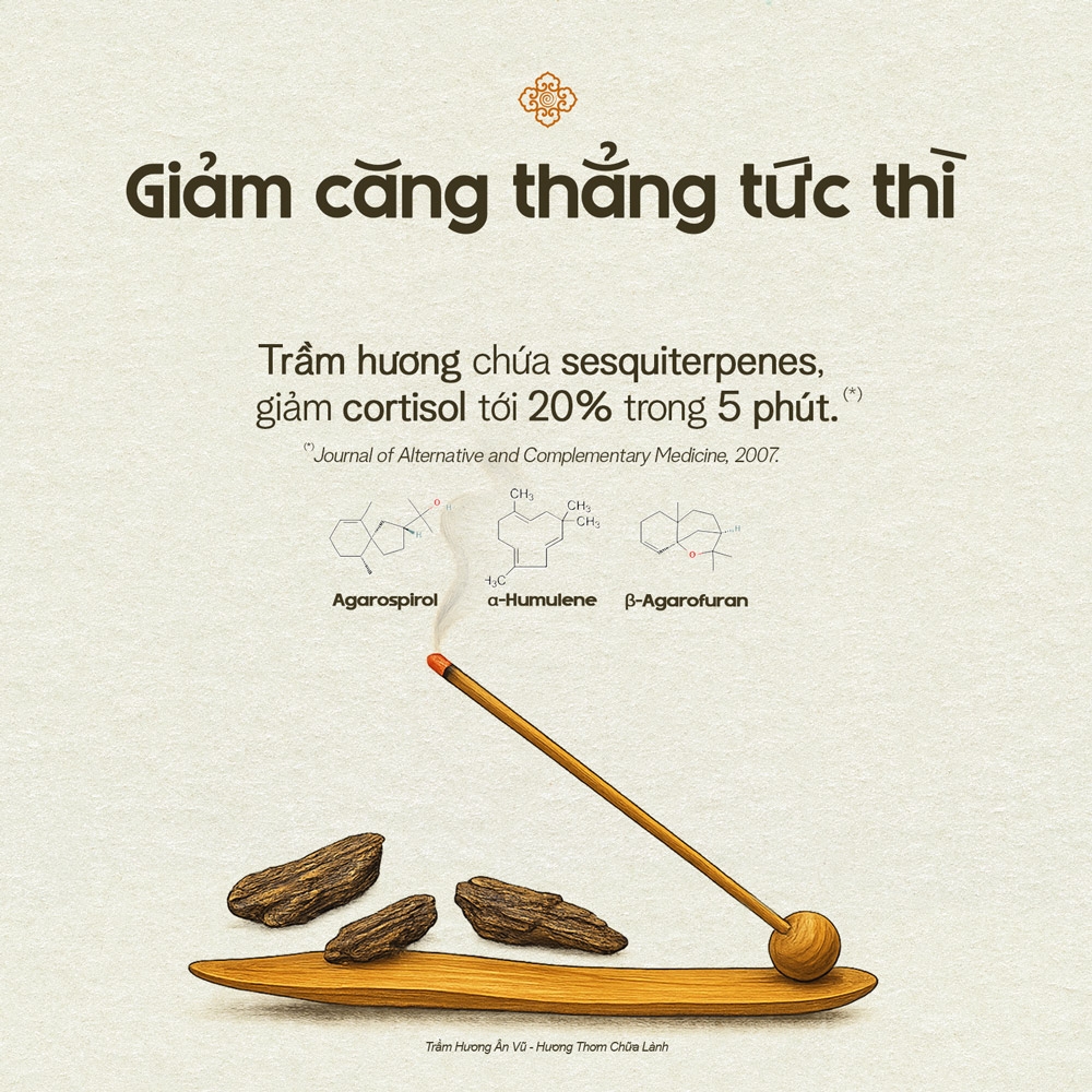 Trầm hương giúp giảm cortisol – hạ stress nội sinh