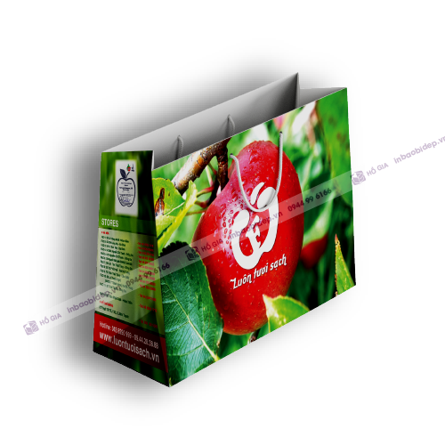 Túi giấy nhỏ đựng hoa quả 1-2kg
