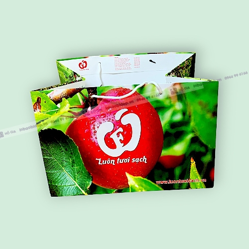 Túi giấy đựng giỏ hoa quả