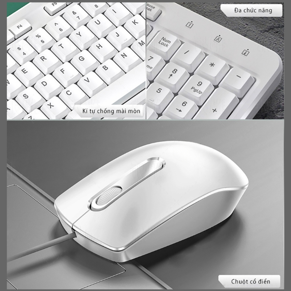 Combo bàn phím chuột văn phòng chính hãng DEIOG DY 817S có dây chống nước giả cơ cho làm việc và chơi game