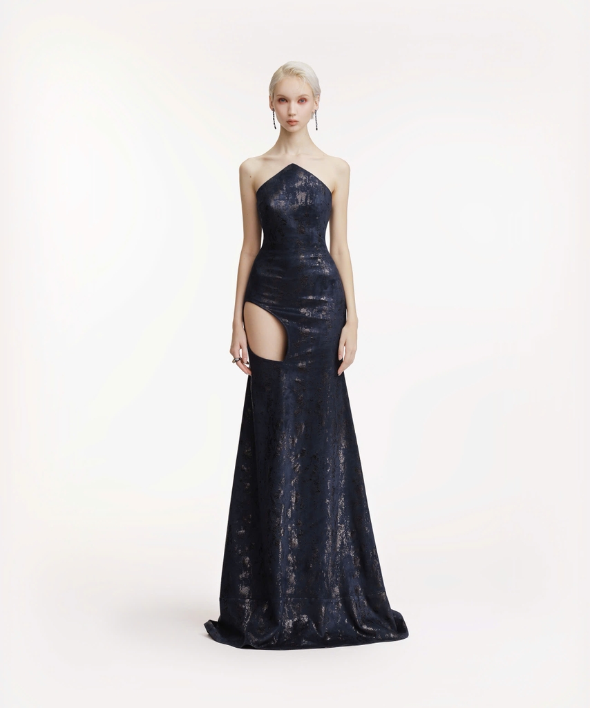 EVIDENCE DRESS