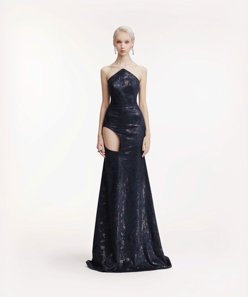 EVIDENCE DRESS