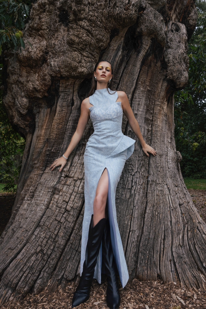 ORBIC DRESS