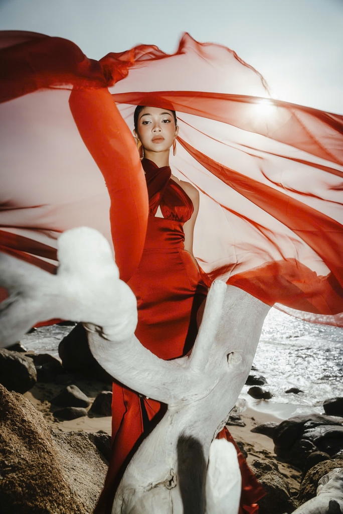 SILFIRA DRESS