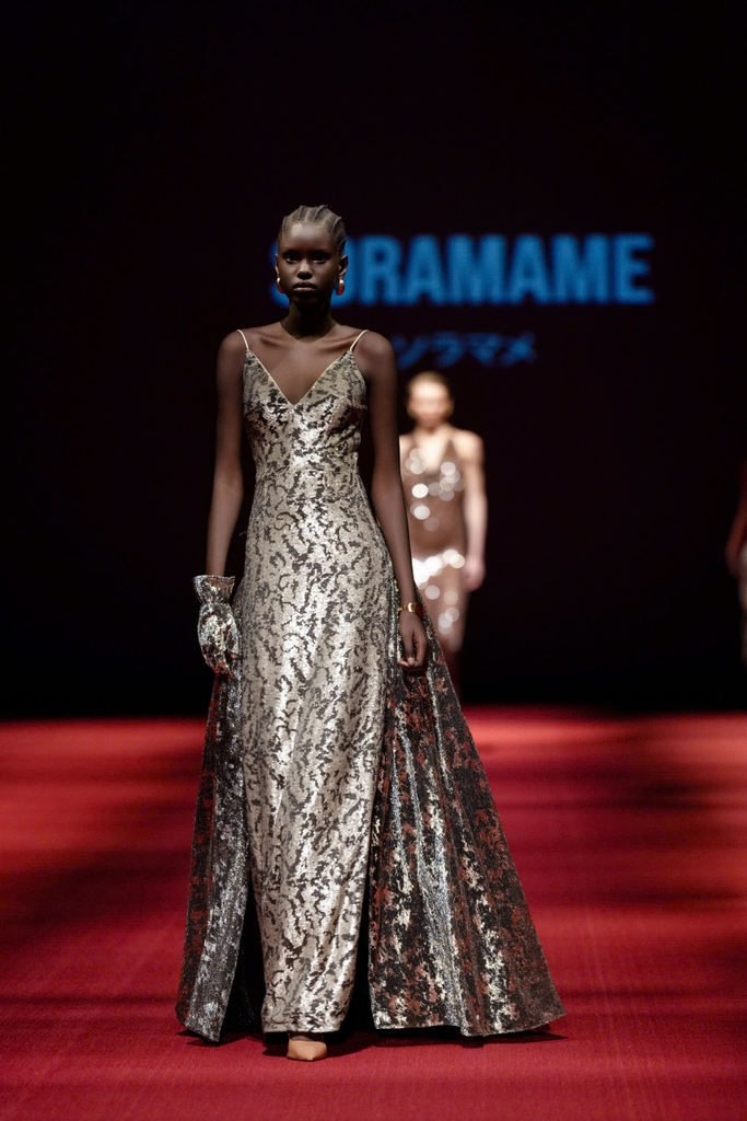 PROVENANCE DRESS