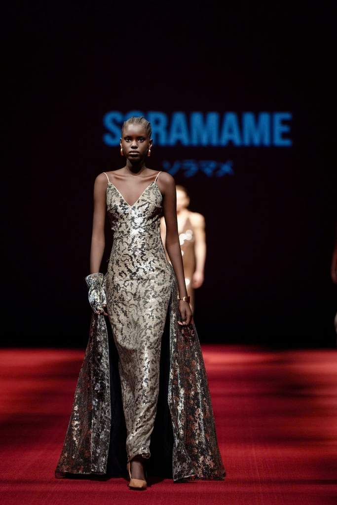PROVENANCE DRESS