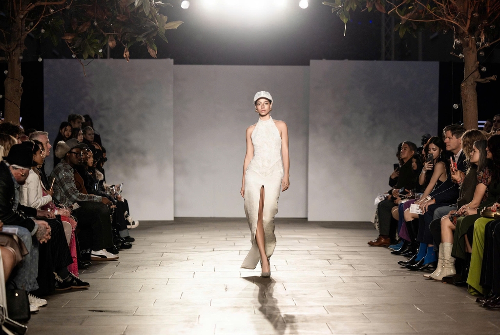 APRICITY DRESS