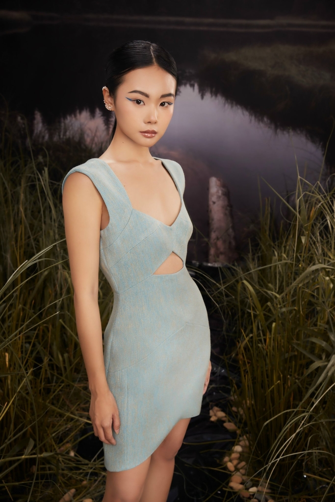 BLUE IVY DRESS