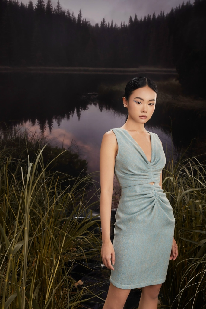 HYDRANGEA DRESS
