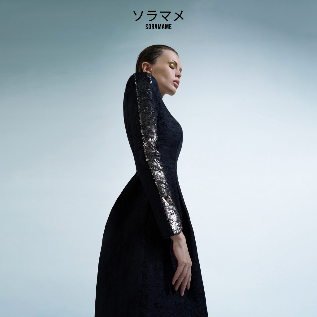 SEQUIN LONG SLEEVES DRESS
