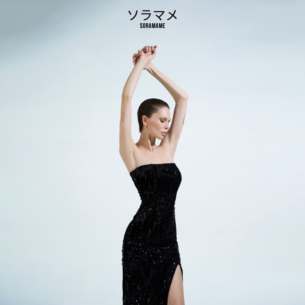 DARK NIGHT DRESS