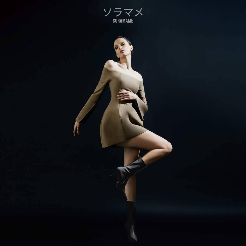 BALLET LONG SLEEVES STRAPLESS DRESS