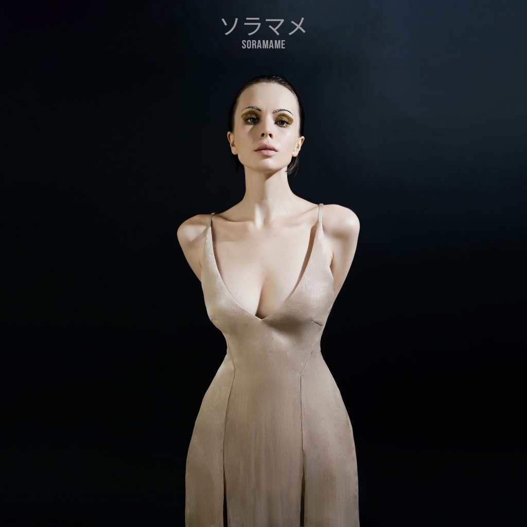 SPLIT CHIFFON DRESS