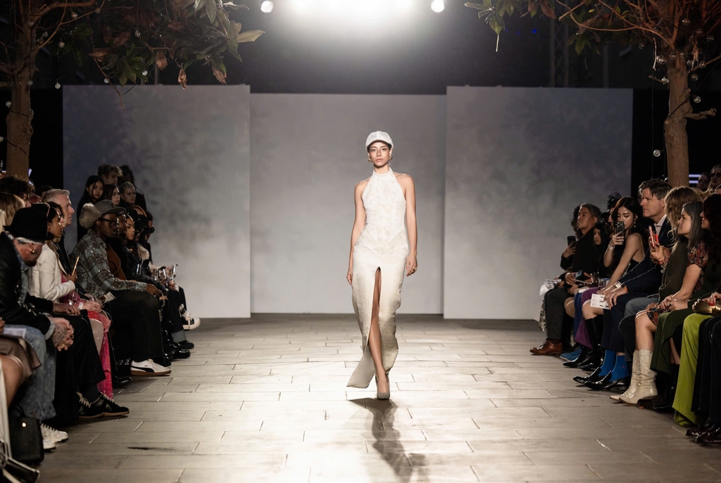 APRICITY DRESS