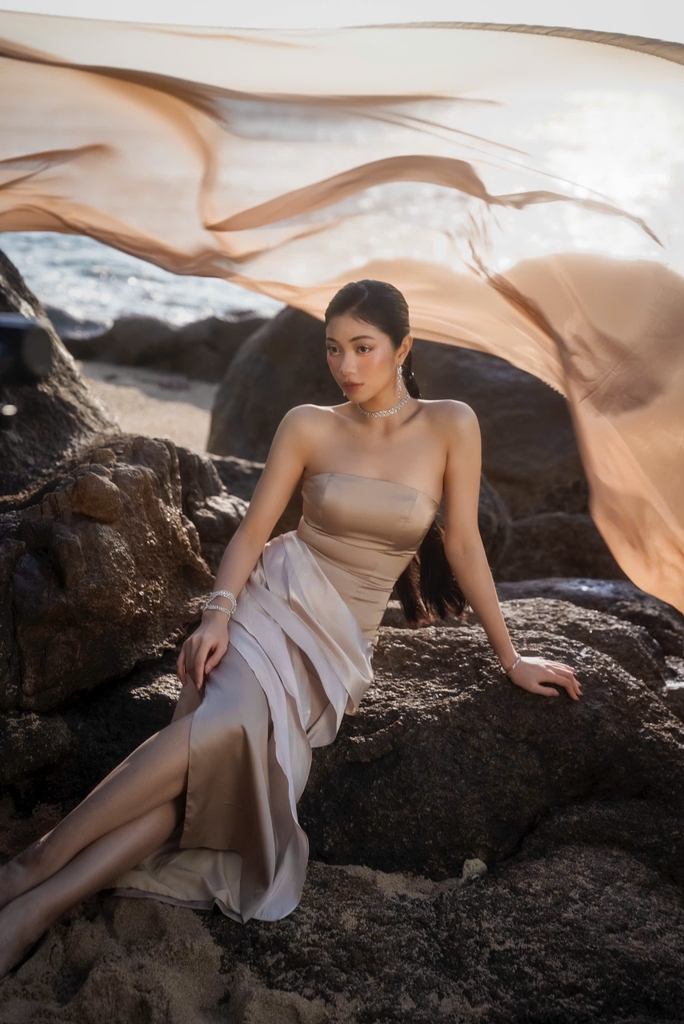 EVANESCE DRESS