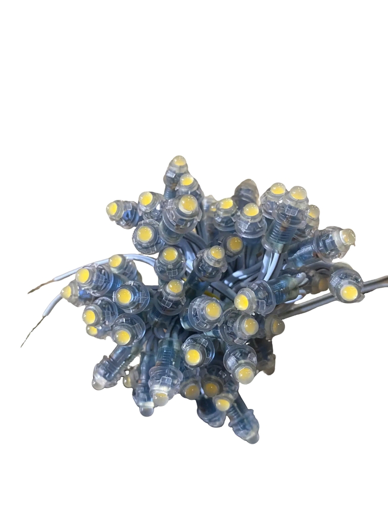 Led đúc F5 12V quấn cây ngoài trời, biển quảng cáo (trắng, vàng ấm, vàng đậm, xanh dương, xanh lá, hồng, đỏ)