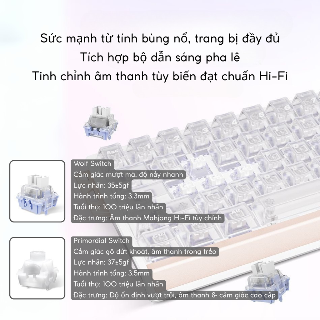 Thông số switch Wolf và Primordial trên ATK 68 RX