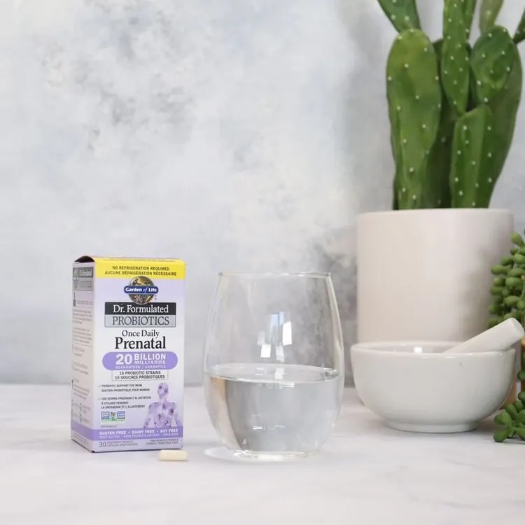 Viên Lợi Khuẩn Cho Mẹ Bầu Và Cho Con Bú Garden of Life Dr. Formulated Probiotics Once Daily Prenatal