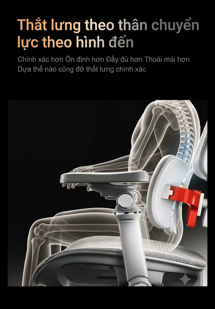 [Order] Ghế công thái học Saigu X3