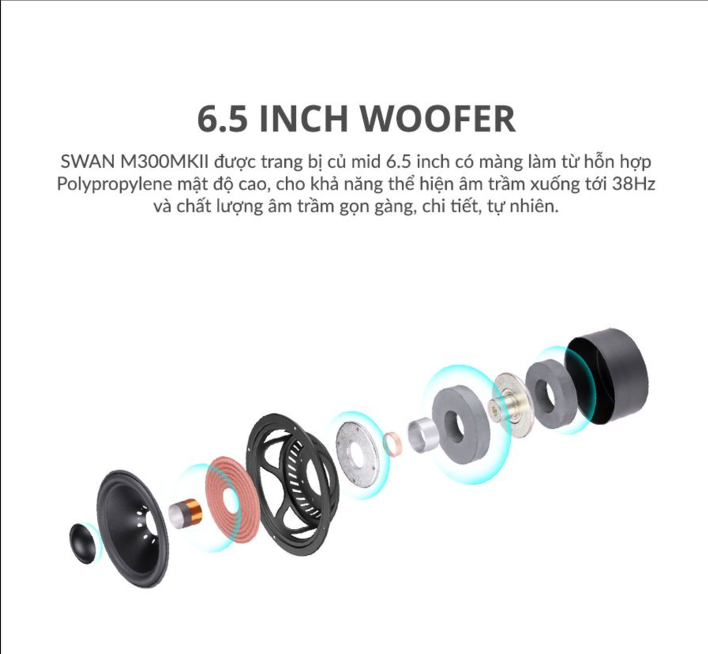 [Order] Loa Hivi Swan M300MKII - Đã đóng ngày 13/08/2026